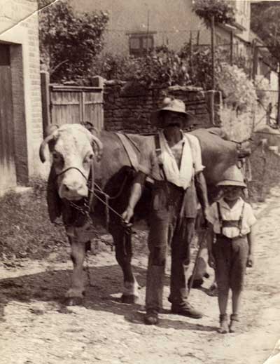 Großvater und Enkel unterwegs mit ihrer Kuh Gretel